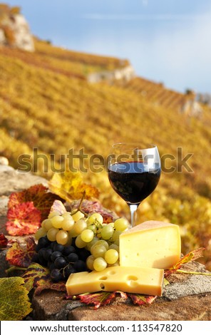 Glass of red wine on the terrace vineyard in Lavaux region, Switzerland