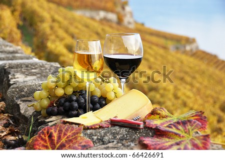 Two wineglasses, cheese and grapes on the terrace of vineyard in Lavaux region, Switzerland