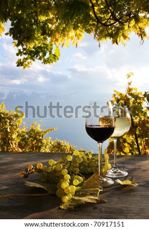 Pair of wineglasses and bunch of grapes. Lavaux region, Switzerland