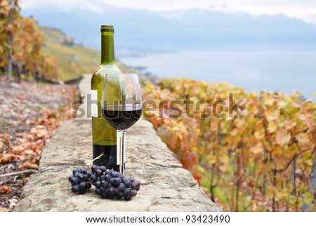 Glass of red wine and a bottle on the terrace of vineyard in Lavaux region, Switzerland