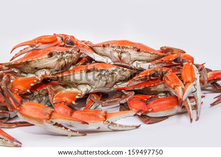 Steamed Blue Crabs on white background, one of the symbols of Maryland State and Ocean City, MD