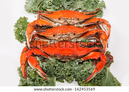 Steamed Blue Crabs garnished with kale on white background, one of the symbols of Maryland State and Ocean City, MD