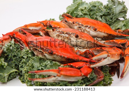 Steamed Blue Crabs garnished with kale on white background