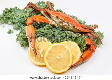 Steamed Blue Crab with lemon slices and garnished with kale on white background