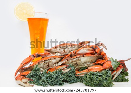 Steamed Blue Crabs garnished with kale and a glass of beer on white background