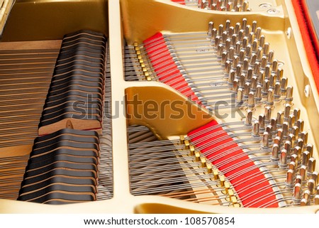 Detailed interior of grand piano showing the strings, pegs, sound board with focus sharp across image