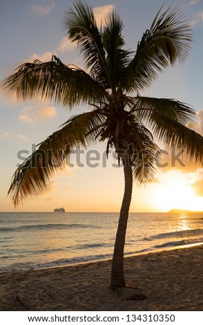 Cruise ship leaves Charlotte Amalie at sunset past Frenchmans bay on St Thomas USVI