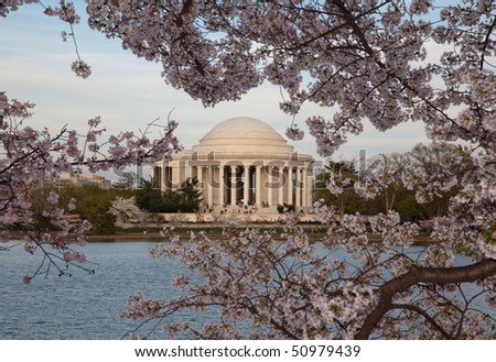 View Of Jefferson Memorial Framed By Cherry Blossoms In Washington Dc ...