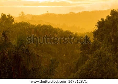 Bright sun breaks through rain clouds during heavy monsoon rain over forest and lights the terrain with an eerie orange glow