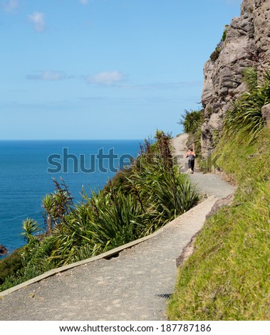 Woman athlete runs and hikes the steep path around the Mount in Tauranga New Zealand