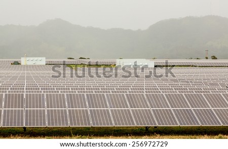 Rows of solar panels in power station array on a misty and cloudy day near Koloa, Kauai, Hawaii