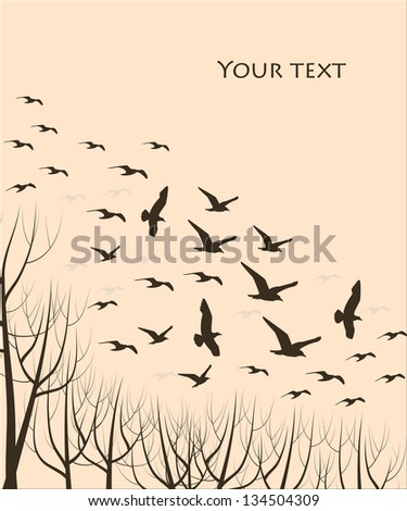 silhouettes of flying birds and trees, vector illustration