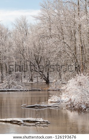 Snowy Winter Creek