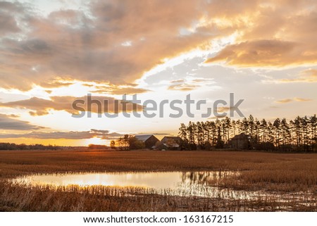 Sunrise reflection in farmland field