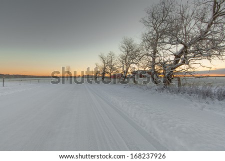 Winter morning road in rural ontario farmland