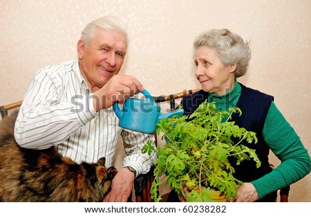 elderly couple pour to water indoor plant