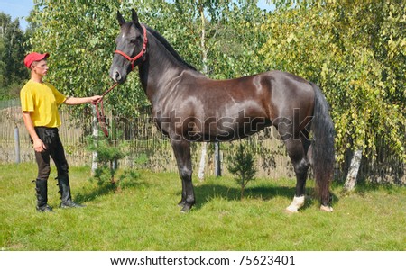 beautiful horse and young man on background green trees