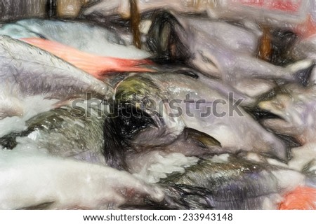 Painting of Close up of King salmon on market stand