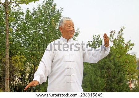 LUANNAN COUNTY - SEPTEMBER 20: Old man boxing performance in a square on September 20, 2014, Luannan county, Hebei Province, China