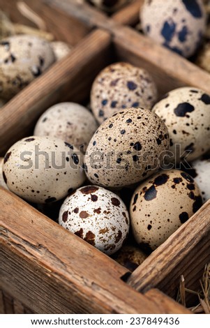 Fresh quail eggs in a vintage wooden box.