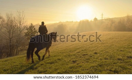 Similar – Foto Bild Pferde auf einer nebligen Wiese