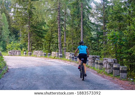 Foto Bild Nicht erkennbare Reisende im Nadelwald