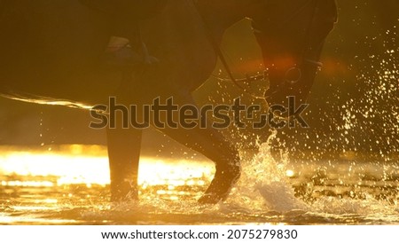 Similar – Image, Stock Photo horses in the sunset