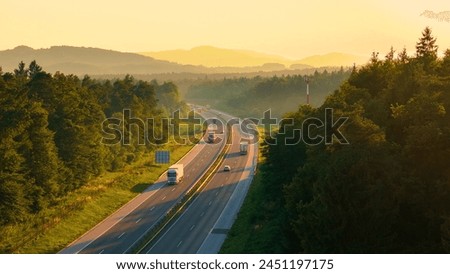 Image, Stock Photo Overgrown trees in misty woods under gray sky