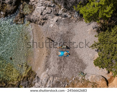 Similar – Image, Stock Photo Dog from above boyfriend