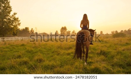 Image, Stock Photo horses in a misty golden October sunrise