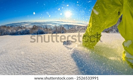 Similar – Image, Stock Photo Animal crosses the piste at high speed