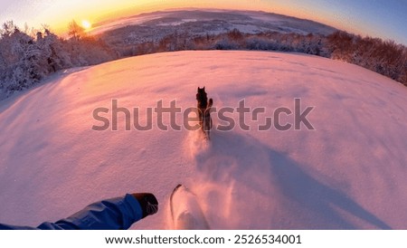 Similar – Image, Stock Photo Animal crosses the piste at high speed