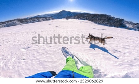 Similar – Image, Stock Photo Animal crosses the piste at high speed