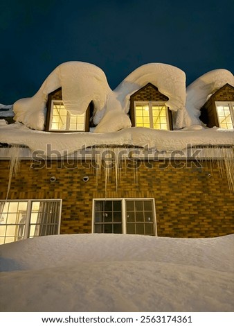 Similar – Image, Stock Photo Thick snowfall at night