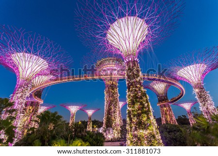 SINGAPORE - FEBRUARY 28, 2015: Sunset scene of the Supertree Groove at Garden by the Bay. Garden by the Bay is one of the most famous tourist attraction in Singapore.