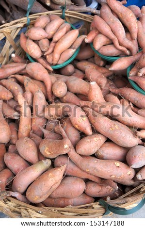 The sweet potato is a dicotyledonous plant that belongs to the family Convolvulaceae. Its large, starchy, sweet-tasting, tuberous roots are a root vegetable.