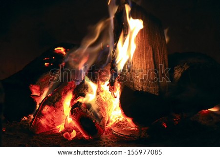 Bright fire in the fireplace. Burning wood photographed close.