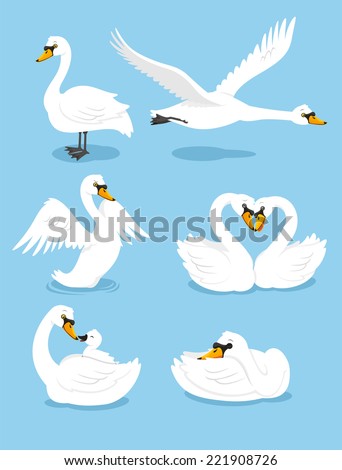 White Swan Wing Water Animal Bird Elegance Grace Set, vector illustration cartoon.