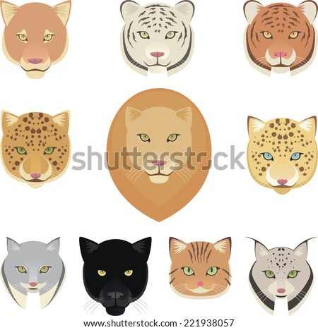 Felines leopard, panther, lion, tiger, cougar and jaguar heads collection. Vector illustration.