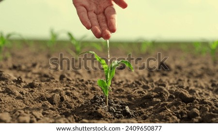 Similar – Image, Stock Photo harvest time Field