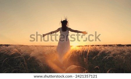 Similar – Image, Stock Photo Grasses at sunset Sunset