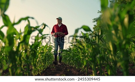 Similar – Image, Stock Photo A farmer on a tractor works in the field. Milling soil, crushing and loosening ground before cutting rows. Farming, agriculture. Preparatory earthworks before planting a new crop. Land cultivation