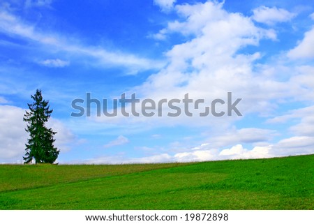 Field and tree in blue sky