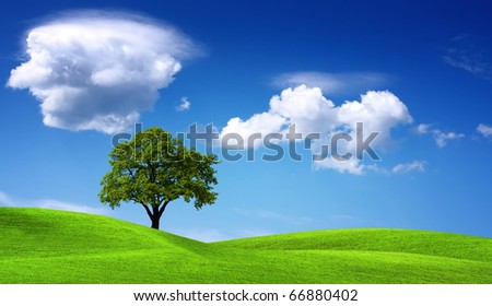 Green Spring Landscape Stock Photo 66880402 : Shutterstock