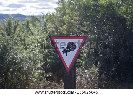 A sign in Addo National Park in South Africa warns visitors to drive slowly to avoid crushing dung beetles on the road.  Dung beetles roll dung into balls and use them as a food source.