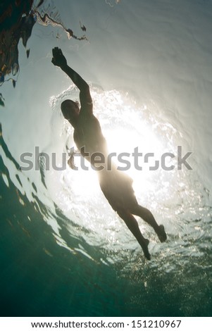 In the tropical western Pacific Ocean, a swimmer is silhouetted by the bright sun.