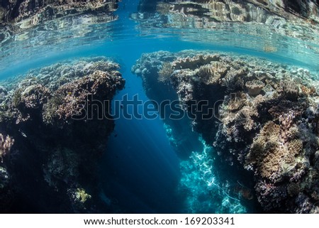 A shallow coral reef is split by a deep, narrow canyon in Raja Ampat, Indonesia. This area is  known as the heart of the Coral Triangle and has extremely robust marine biological diversity.