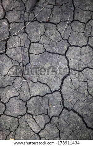 Dry weather has dehydrated the soil near a forest in Central America. Climate change is affecting weather patterns worldwide and many areas are becoming more dry.
