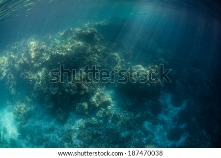 Bright beams of sunlight shine down on a coral reef growing in a shallow part of Palau\'s inner lagoon. Reef-building corals within the lagoon are adapted to high water temperatures.