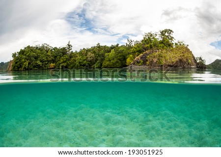 A shallow, sandy flat borders a small island in Raja Ampat, Indonesia. This large region is the heart of the Coral Triangle and relatively unexplored.